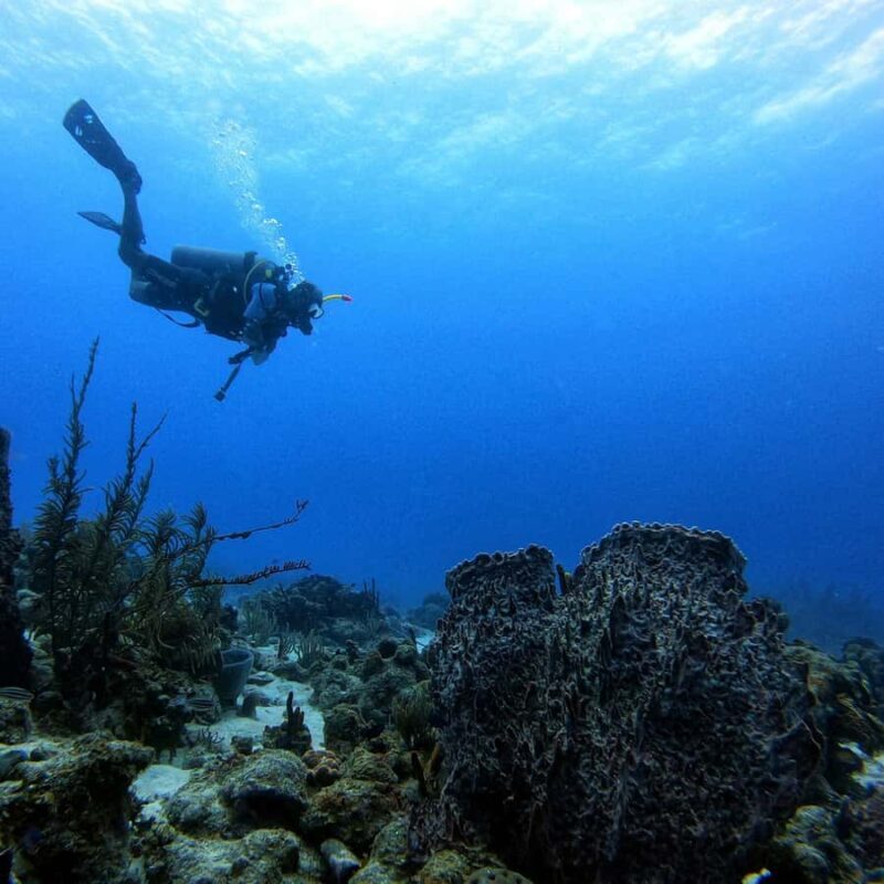 San Andres: SCUBA Diving Experience with Hotel Pickup - Key Points