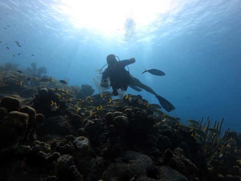 San Andres: SCUBA Diving Experience with Hotel Pickup - Potential Drawbacks and Considerations