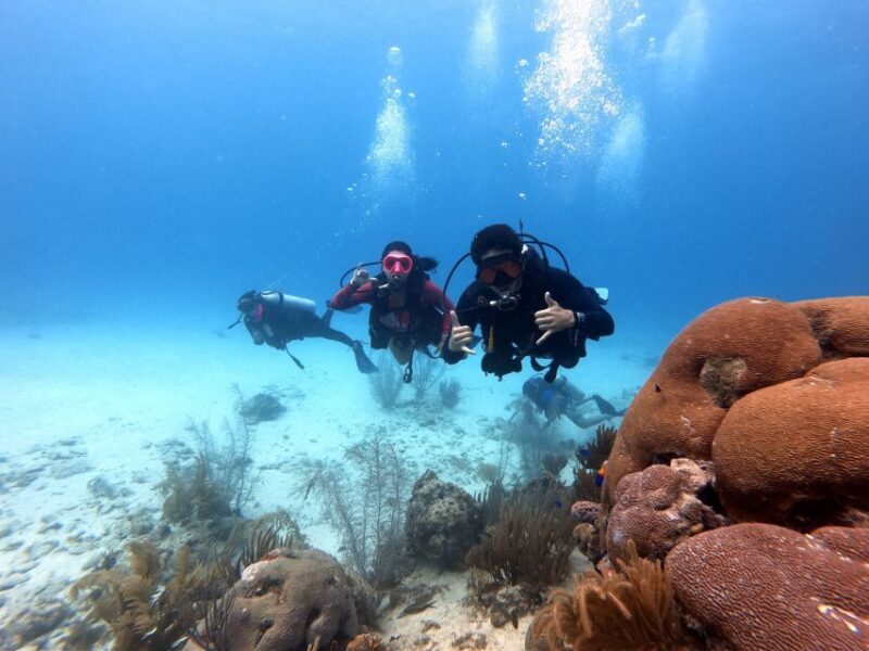 San Andres: SCUBA Diving Experience with Hotel Pickup - Who This Tour Is Best For