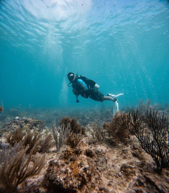 San Andres: SCUBA Diving Experience with Hotel Pickup - Final Thoughts on Value and Authenticity