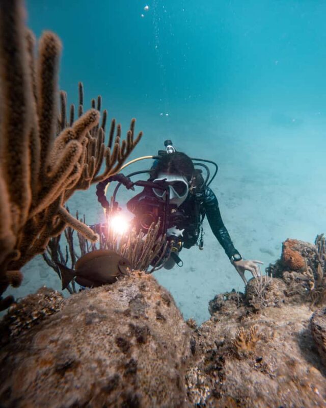 San Andres: SCUBA Diving Experience with Hotel Pickup - FAQ