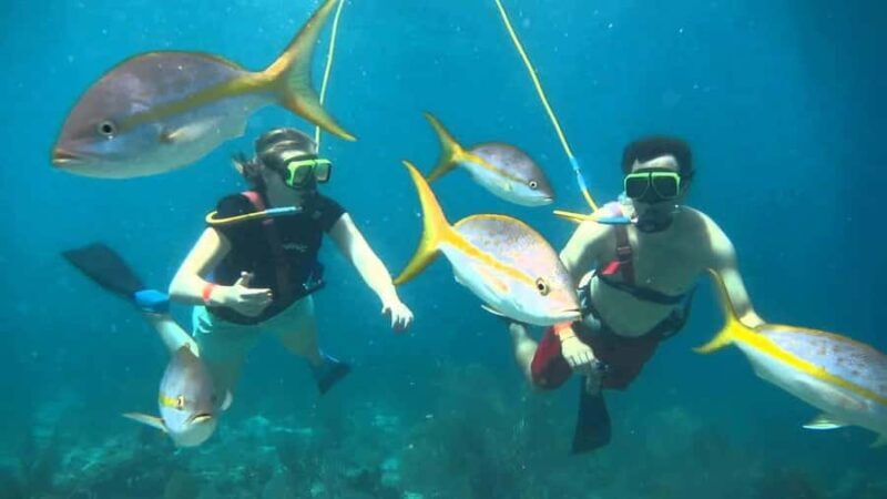 SAN ANDRES: SNUBA UNDERWATER EXPERIENCE - FAQ