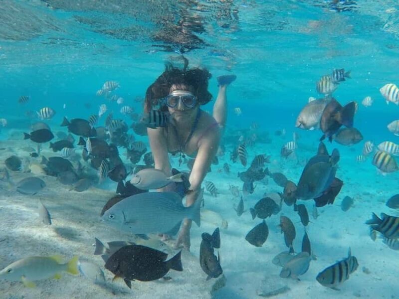 San Andres: Transfer by Boat + Natural Aquarium - Practical Tips for Booking and Enjoying the Tour