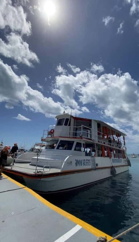 SAN ANDRES:COMBO Fullday Jhonny cay or Aquarium, Tour Bahia,Vuelta Isla chiva - Final Thoughts: Is It Worth It?