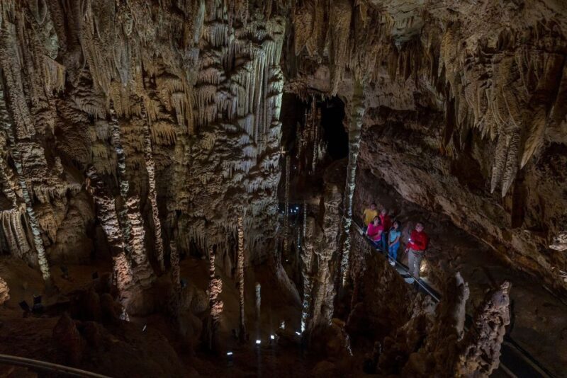 San Antonio: Discovery Tour at Natural Bridge Caverns - An In-Depth Look at the Discovery Tour at Natural Bridge Caverns