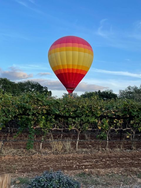 San Antonio: Fredericksburg Wineries Day Trip with Tastings - Final thoughts: Who will love this tour?