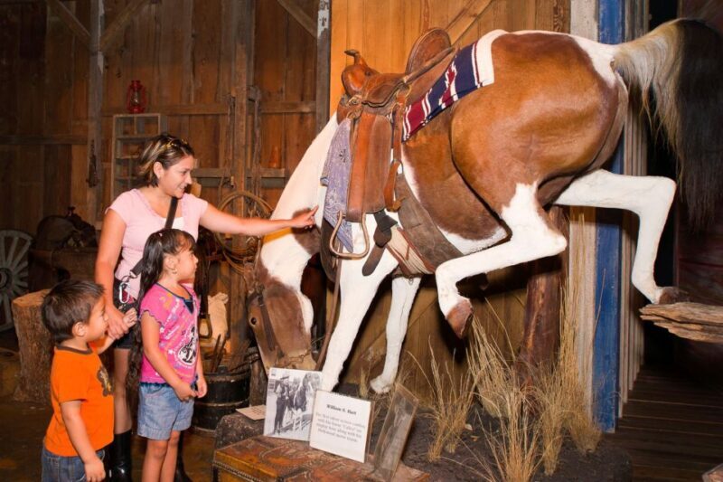 San Antonio: Go City Explorer Pass with 25+ Attractions - The Sum Up