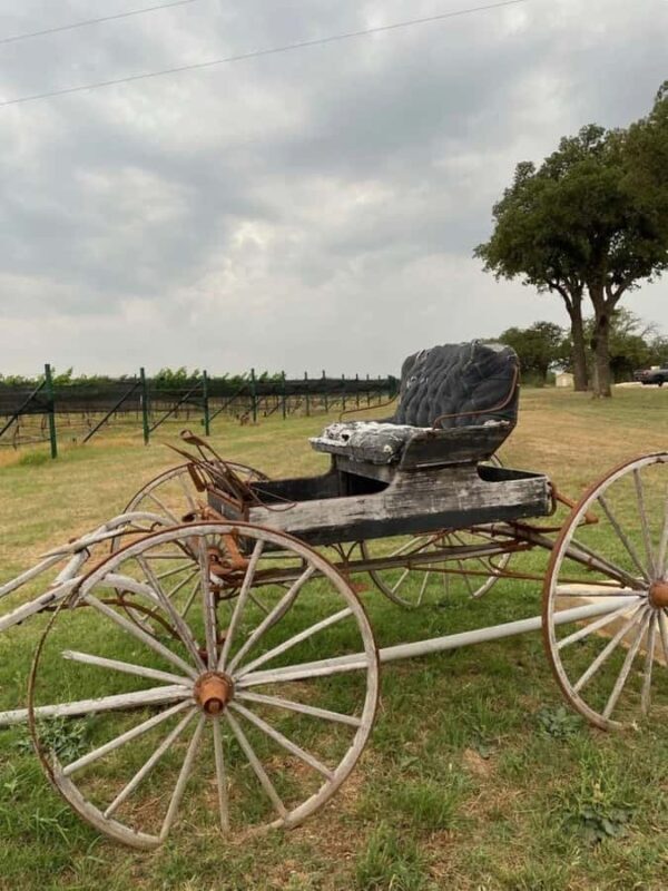 San Antonio: Hill Country Wine Tour & Fredericksburg Visit - Key Points