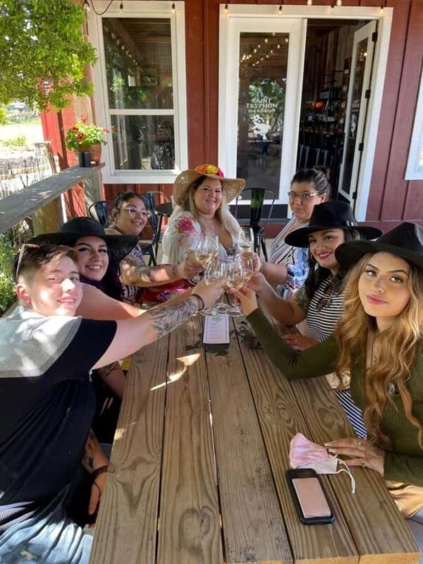 San Antonio: Hill Country Wine Tour & Fredericksburg Visit - Exploring the Itinerary: What You Can Expect