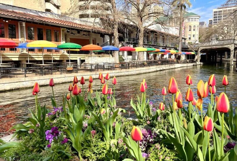 San Antonio: Riverwalk and Downtown Guided Walking Tour - Key Points