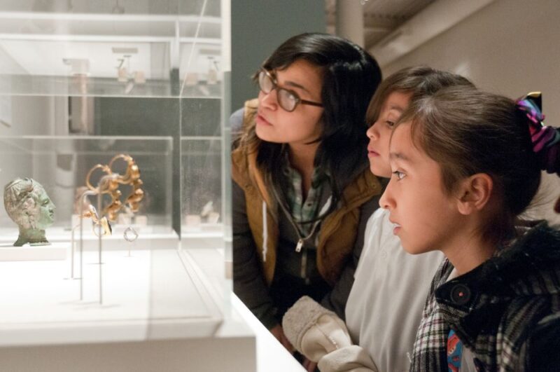 San Antonio: San Antonio Museum of Art Entry Ticket - Who Will Love This Museum?