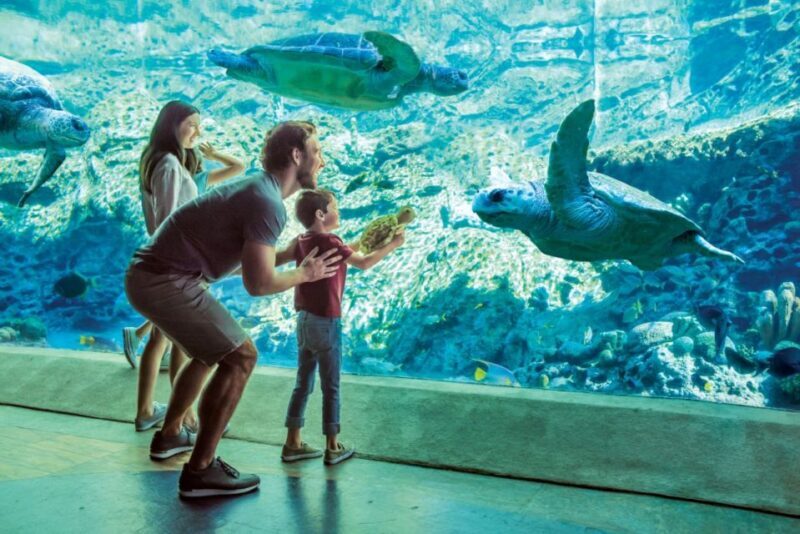 San Antonio: SeaWorld Skip-the-Line Park Admission Ticket - FAQ