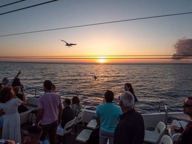 San Antonio: Sunset Boat Tour with Live Music & Drinks - Practical Tips for Your Sunset Cruise