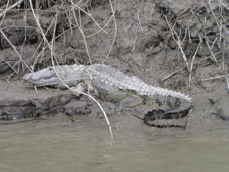 San Cristobal: 2 Days in the Southern Selva Lacandona Tour - Why This Tour Is a Great Choice