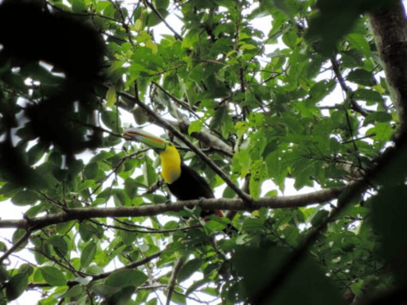San Cristobal: 3 Days Nature Tour Southern Selva Lacandona - Key Points