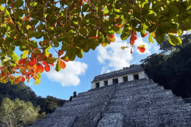 San Cristobal: 3 Days Nature Tour Southern Selva Lacandona - Archaeological Marvels: Bonampak and Palenque