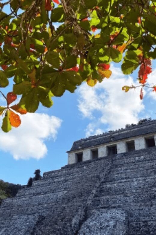 San Cristobal: 3 Days Nature Tour Southern Selva Lacandona - FAQ
