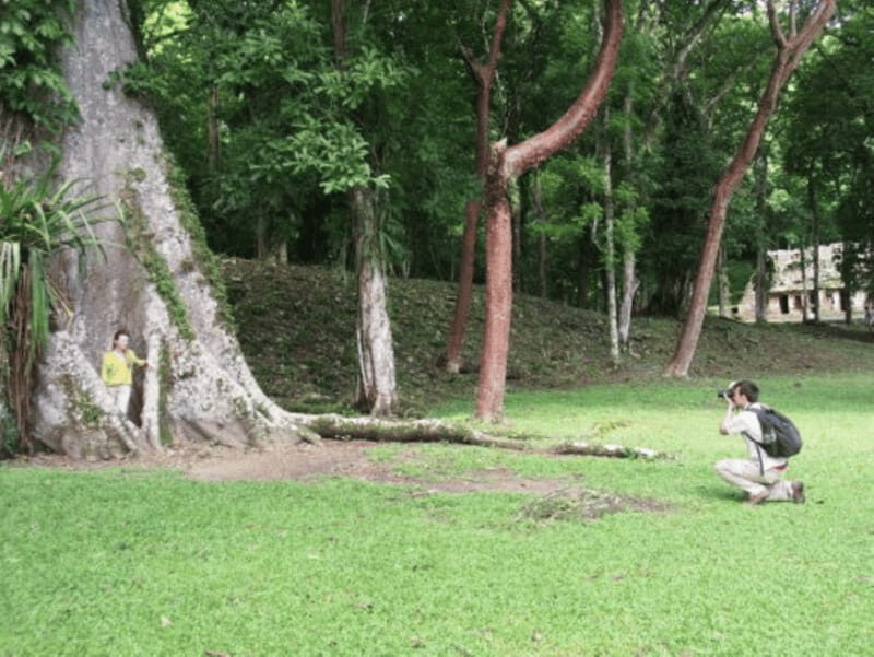 San cristobal- 4 Days Kayak Tour in Lacandona Jungle - Who Is This Tour Best Suited For?