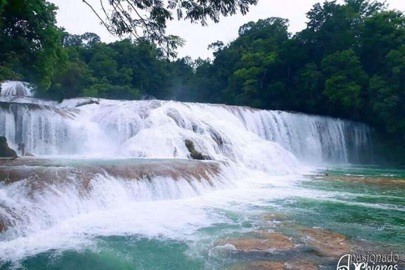 San Cristobal: Agua Azul, Misol Ha & Palenque Experience - Key Points