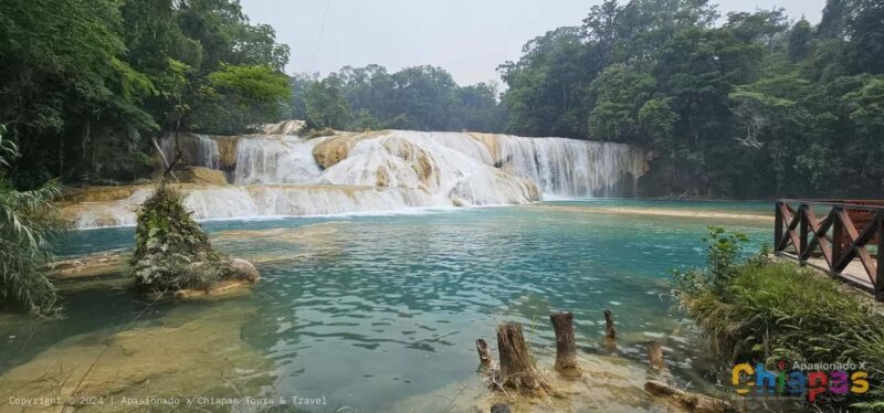 San Cristobal: Agua Azul, Misol Ha & Palenque Experience - A Detailed Look at the Tour Experience