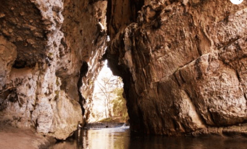 San Cristóbal: Arcotete Ecotourism Park & Rancho Nuevo Caves - Exploring Chiapas: A 4-Hour Adventure at Rancho Nuevo Caves & Arcotete Ecotourism Park