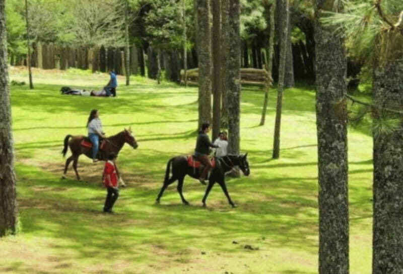 San Cristóbal: Arcotete Ecotourism Park & Rancho Nuevo Caves - What Makes This Tour Stand Out