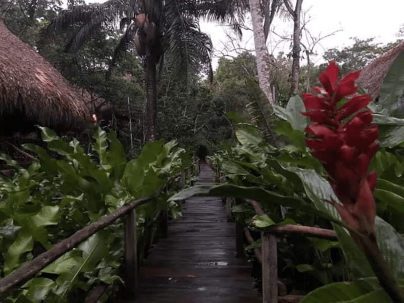 San Cristobal: Coffee Tour in the Mountains of Chiapas - What the Tour Includes and What to Consider