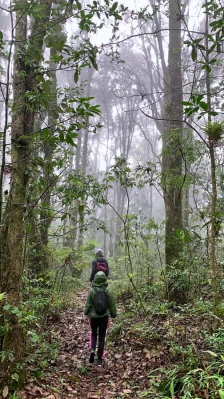 San Cristóbal de las Casas: Hiking on Huitepec Volcano - Key Points