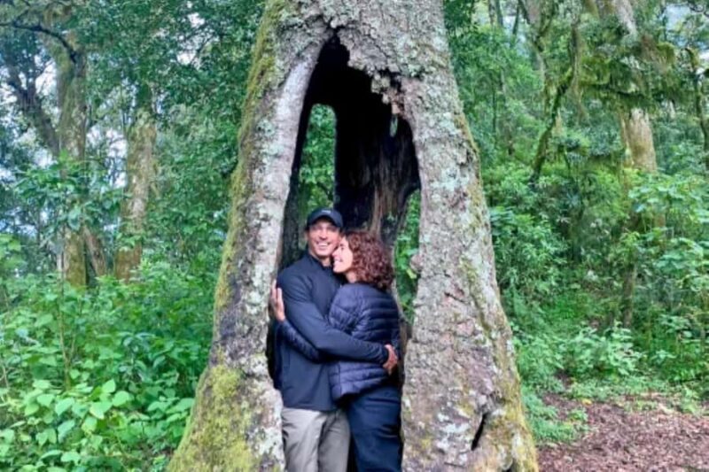 San Cristóbal de las Casas: Hiking on Huitepec Volcano - Who Should Book This Tour?