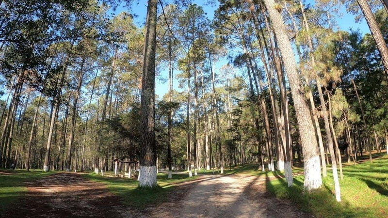 San Cristobal: Rancho Nuevo Caves and Arcotete Tour - A Closer Look at the Experience