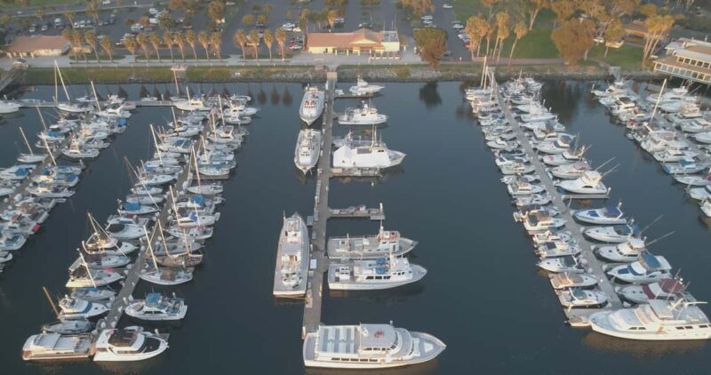 San Diego: 3 Hour Whale Watching Cruise - San Diego: 3 Hour Whale Watching Cruise — An Authentic Marine Adventure