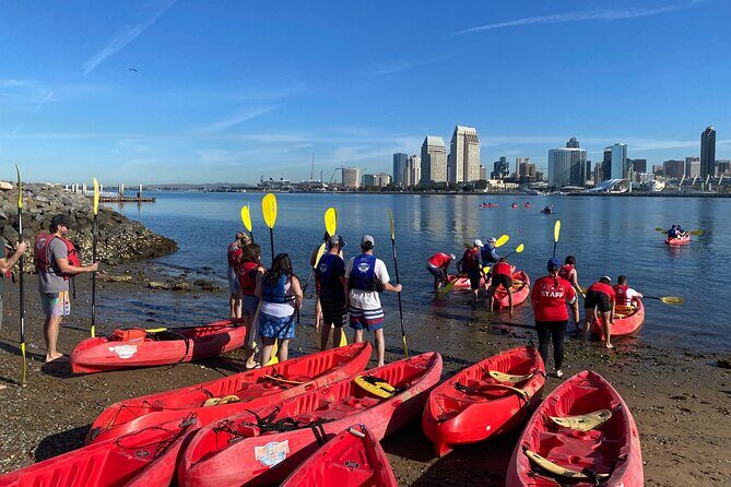 San Diego Bay 1.5-Hour Guided Kayak Tour in Coronado - The Experience in Detail