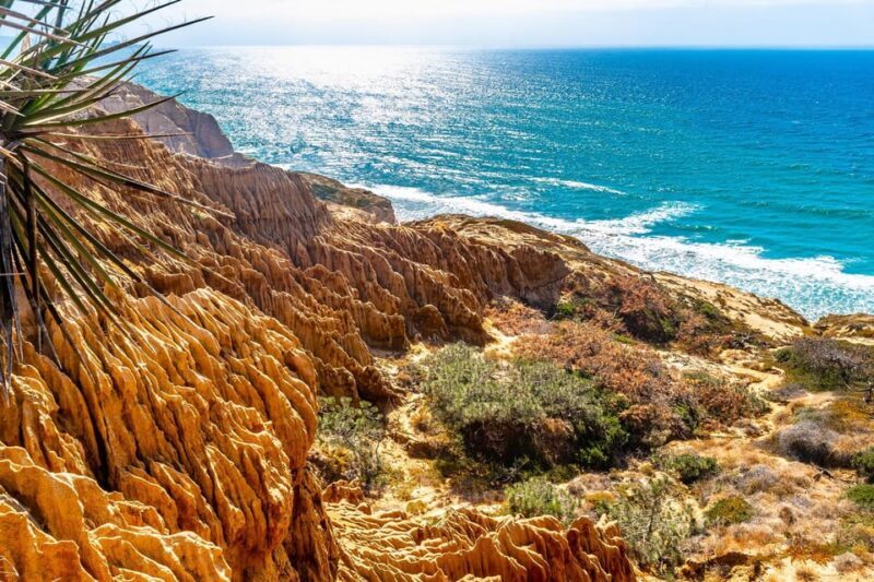 San Diego: Beaches & Bluffs Self-Guided Driving Tour - Price and Value Analysis