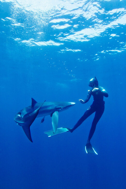 San Diego: Blue Shark Offshore Snorkel Adventure! - Who Should Consider This Tour?