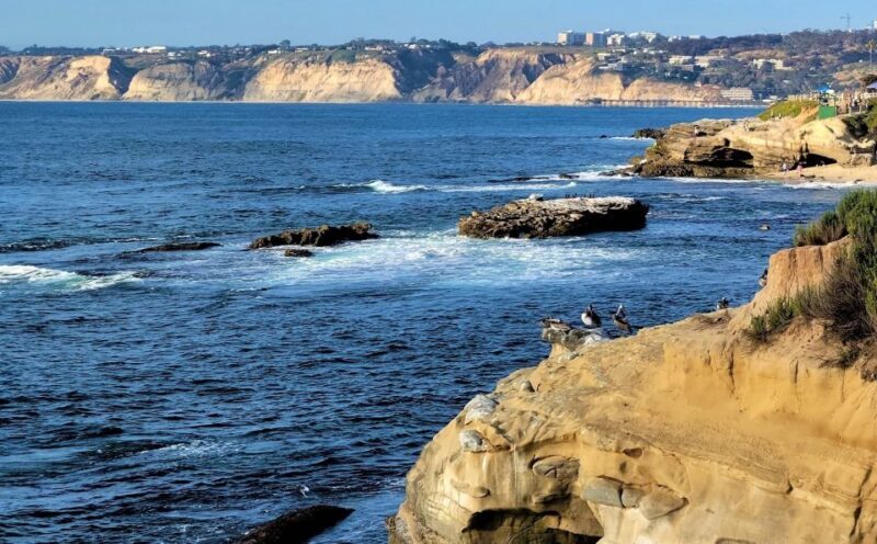 San Diego: City and Beaches Guided Highlights Tour - Who Should Consider This Tour?