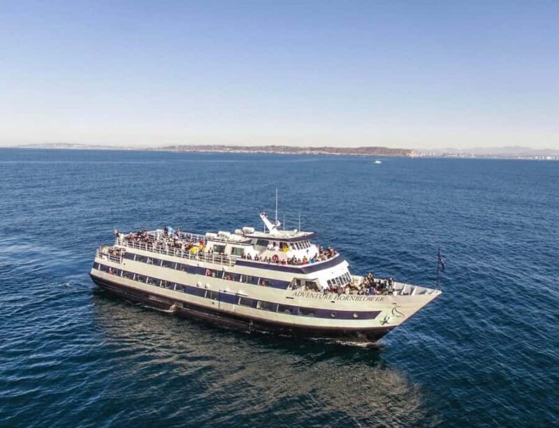 San Diego: City Cruises Whale and Dolphin Watching Cruise - Key Points