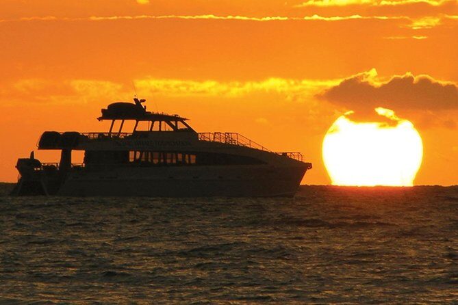 San Diego Dolphin Watch Sunset Cruise Mission Bay on the Legacy - Key Points