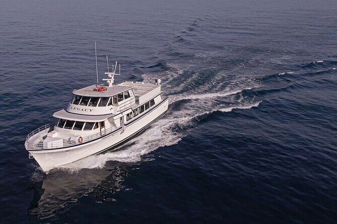 San Diego Dolphin Watch Sunset Cruise Mission Bay on the Legacy - Pricing and Value