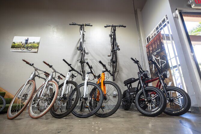 San Diego ebike Rentals - Experience California's Finest Scenery - What to Expect During Your Ride
