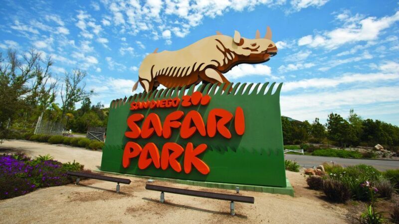 San Diego Explorer Pass: Tickets to 2-7 Attractions - Exploring the San Diego Explorer Pass: A Deep Dive