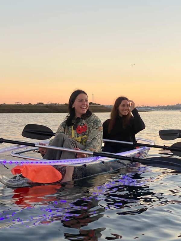 San Diego: Glass Kayak Tour - A Deep Dive into the Glass Kayak Tour Experience
