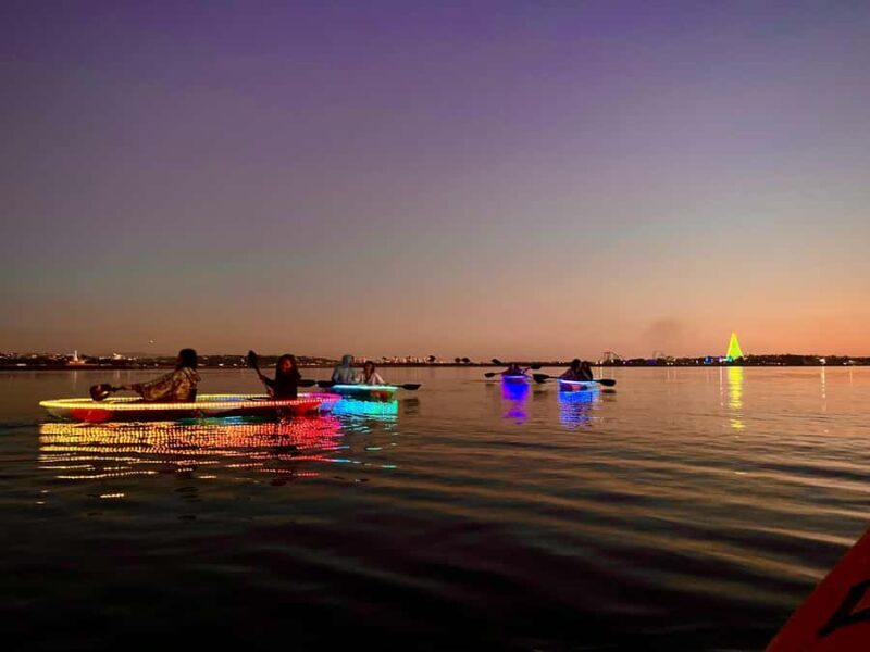 San Diego: Glass Kayak Tour - Who Should Consider This Tour?