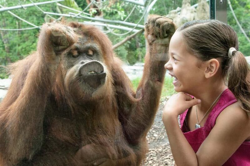 San Diego: Go City Essentials Pass - How Does the Pass Work?