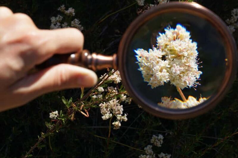 San Diego: Guided Natural History Walk - Exploring San Diego’s Past and Nature on a Guided Natural History Walk