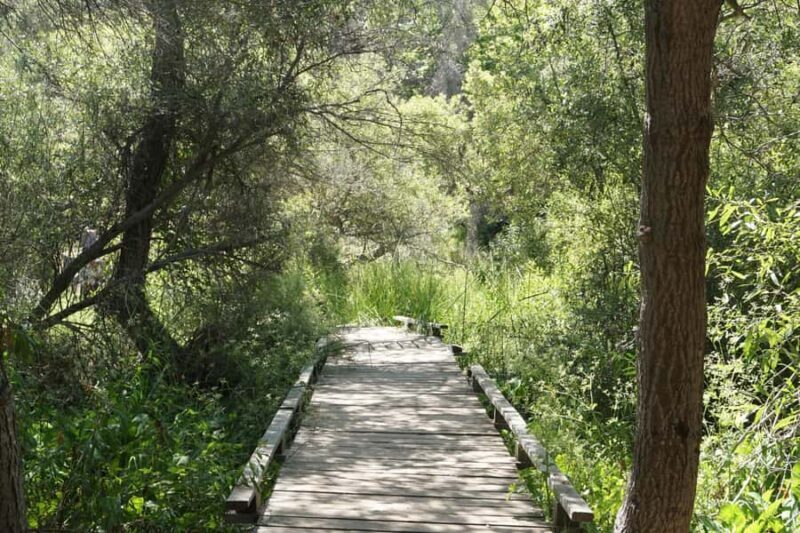 San Diego: Guided Natural History Walk - Final Thoughts: Who Should Sign Up?