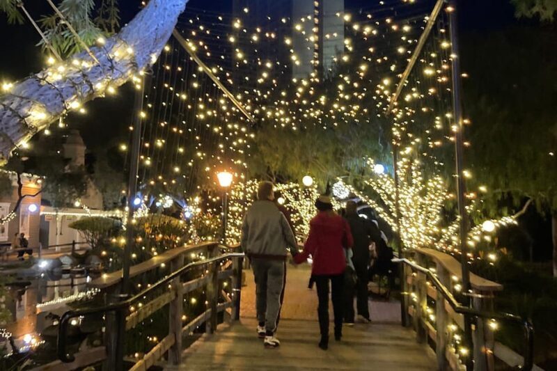 San Diego: Holiday Lights and Sights Trolley Tour - An Authentic Look at the San Diego Holiday Lights and Sights Trolley Tour