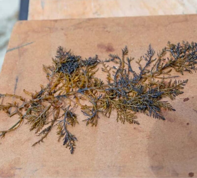 San Diego Photo Tour with a Private Photographer - Practical Details That Matter