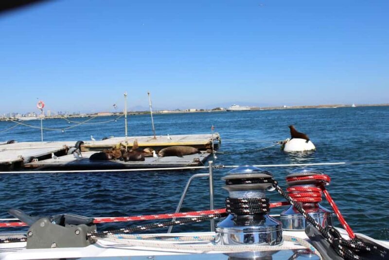 San Diego: Private Morning Sail up to 12 guests - Key Points