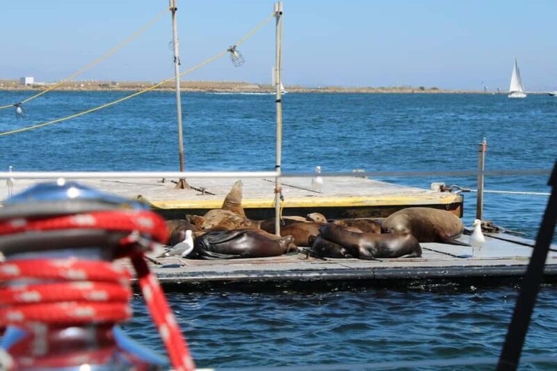 San Diego: Private Morning Sail up to 12 guests - The Sum Up