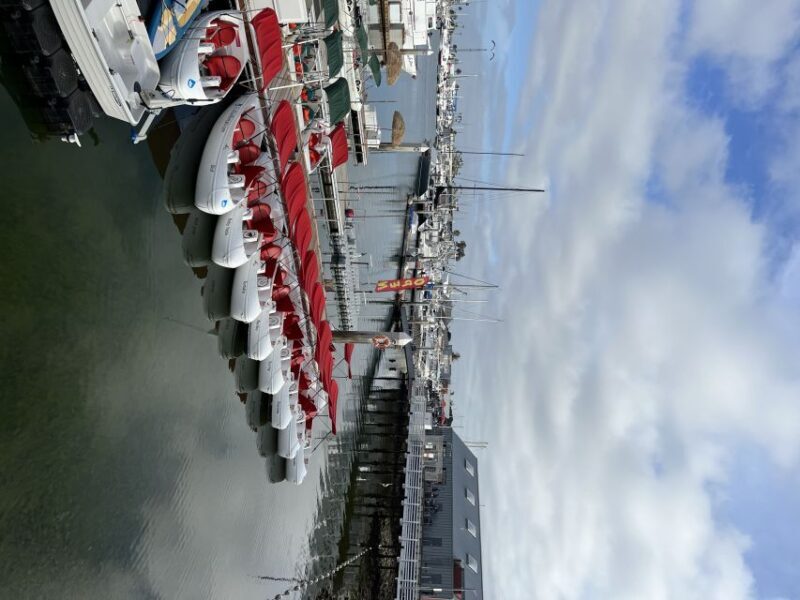 San Diego: San Diego Bay Dog-Friendly Eco Pedal Boat Rentals - Practical Tips for Your Trip